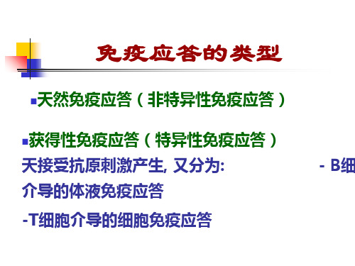 免疫学-T细胞免疫13PPT幻灯片