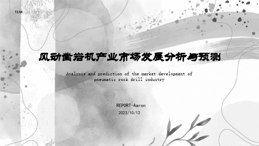 2023年-2025年中国风动凿岩机产业发展前景及供需格局预测报告报告模板