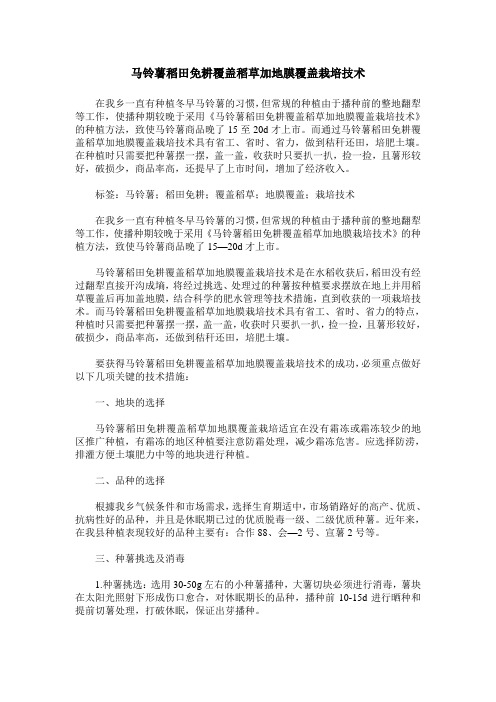 马铃薯稻田免耕覆盖稻草加地膜覆盖栽培技术