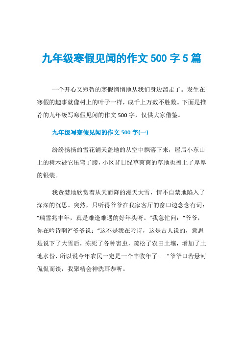 九年级寒假见闻的作文500字5篇