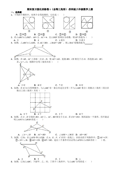 期末复习强化训练卷1(全等三角形)-苏科版八年级数学上册