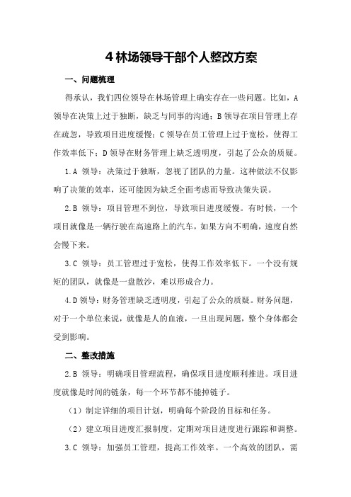 林场领导干部个人整改方案