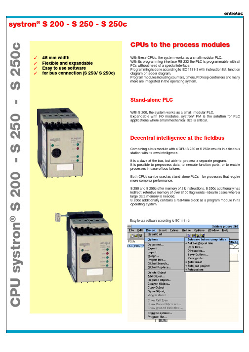 systron S 200 - S 250 - S 250c 小型模块化PLC说明书