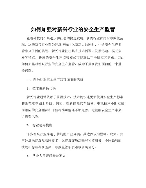 如何加强对新兴行业的安全生产监管