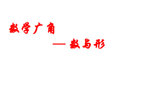 小学-数学-人教版(2014秋)-六年级上册-数学 广角数与形 课件