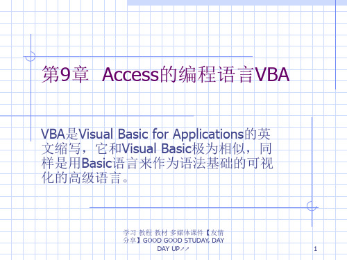 Access编程语言VBA