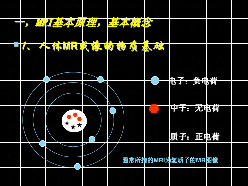 MRI技术简介及发展49页PPT