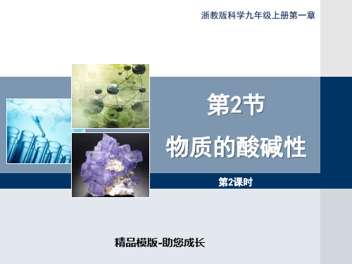 最新浙教版九年级上册科学1.2《物质的酸碱性》第二课时优秀-课件