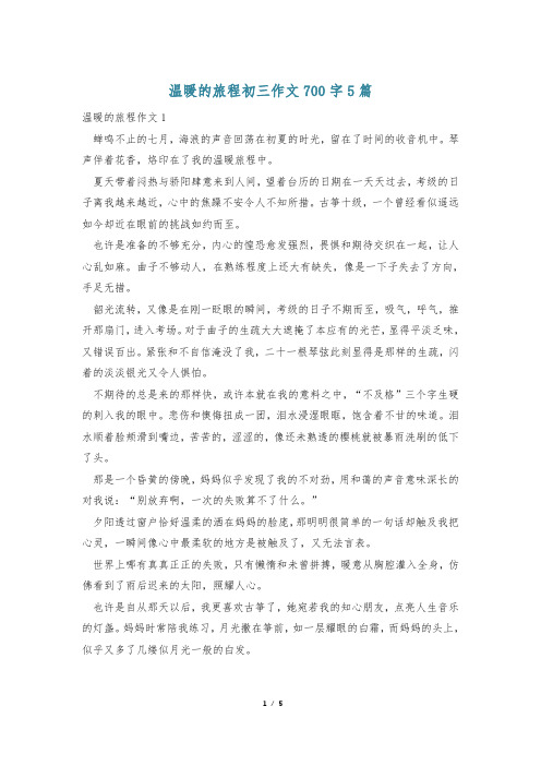 温暖的旅程初三作文700字5篇