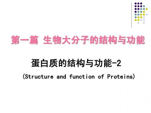 蛋白质的结构与功能-2