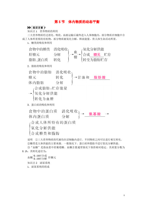 九年级科学上册第4章代谢与平衡4-5体内物质的动态平衡提优手册新版浙教版