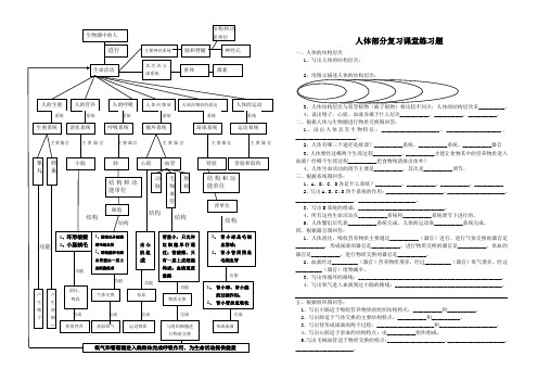 九年级生物人体部分的练习(专题复习)