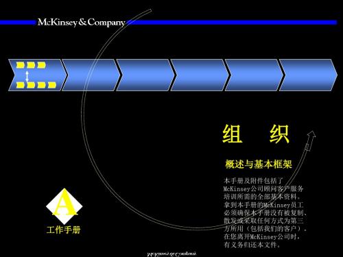 Mckinsey——组织咨询培训手册