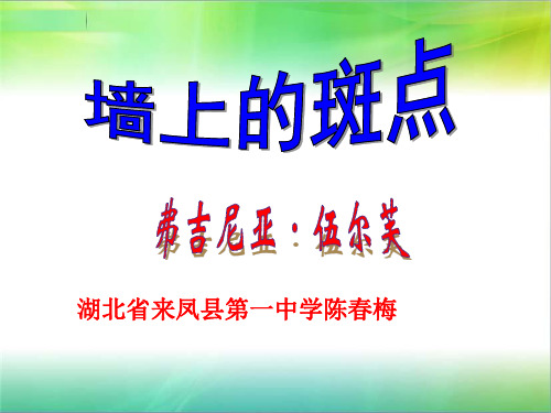 (完整版)墙上的斑点精品课件