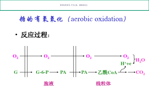 葡萄糖的有氧分解