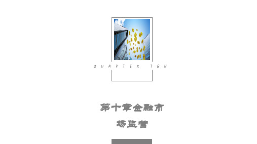 第十章金融市场监管《金融市场》PPT课件