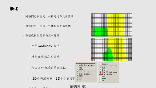 AUTODYNChapter多物质Euler求解器PPT教学课件