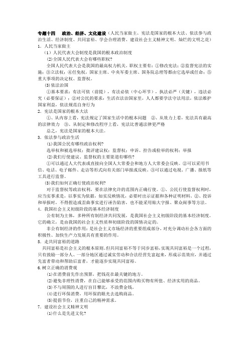 专题十四   政治经济文化建设