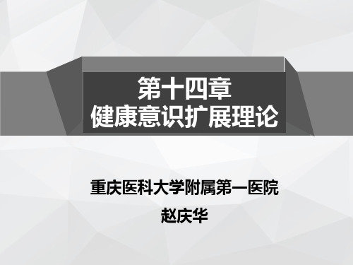 第十四章 玛格瑞特 A·纽曼的健康意识扩展理论