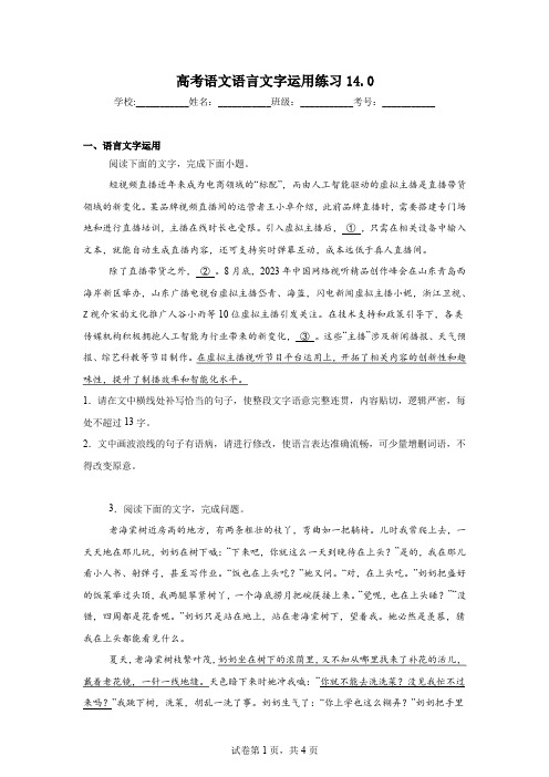 高考语文语言文字运用练习14.0