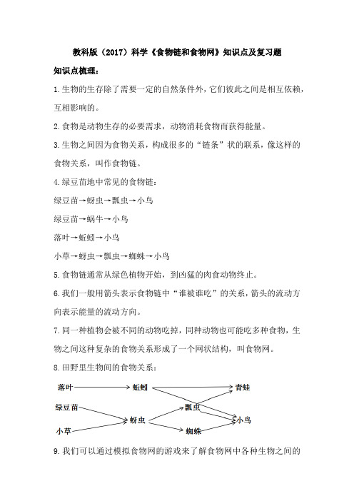 教科版(2017)科学《食物链和食物网》知识点及复习题(含答案)