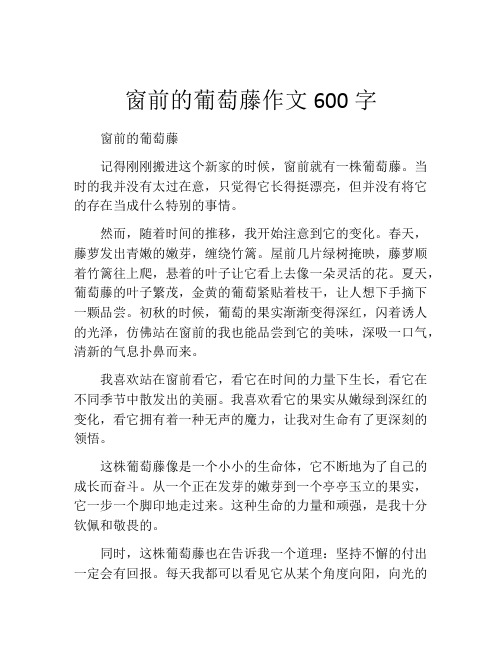 窗前的葡萄藤作文600字