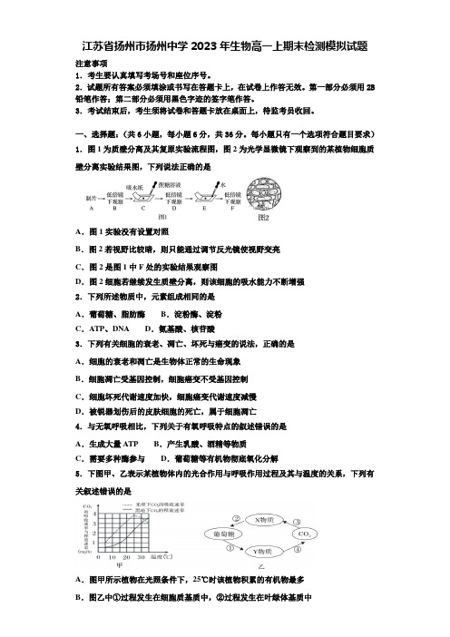 江苏省扬州市扬州中学2023年生物高一上期末检测模拟试题含解析