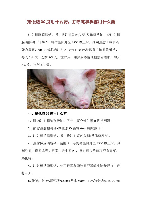 猪低烧36度用什么药,打喷嚏和鼻塞用什么药