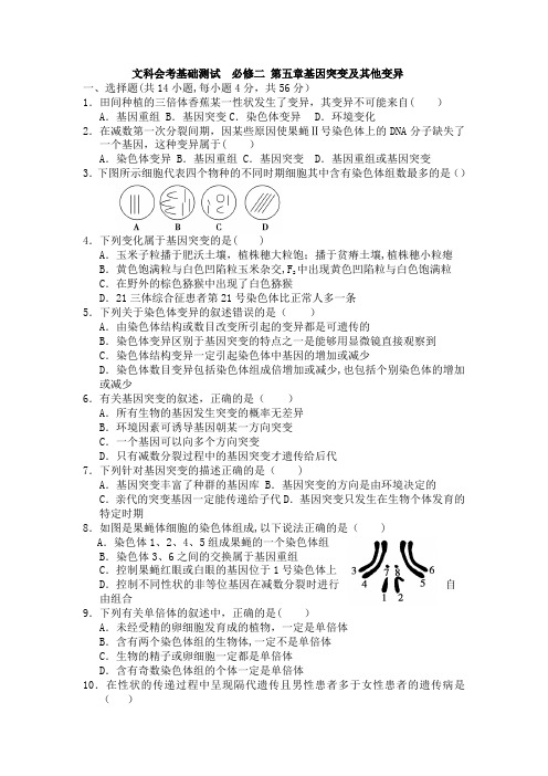 人教版高中生物必修二第五章过关检测