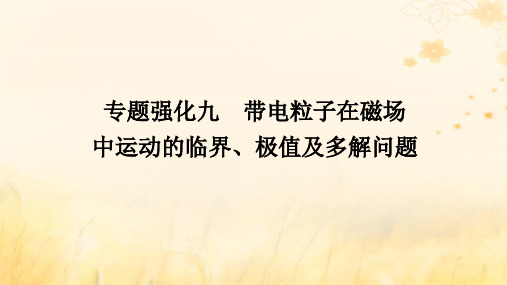 2025版高考物理全程一轮复习第十一章专题强化九带电粒子在磁场中运动的临界极值及多解问题课件