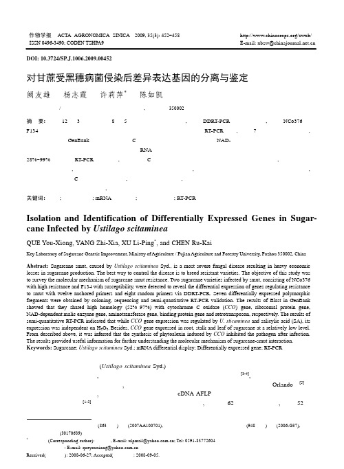 对甘蔗受黑穗病菌侵染后差异表达基因的分离与鉴定