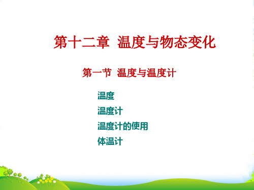 新沪科版物理九年级全册课件12.1温度与温度计(共24张PPT)
