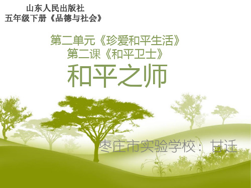 山人版品社六下第二单元第二课《和平之师》