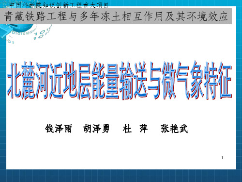 青藏铁路工程与多年冻土相互作用及其环境效应(1)