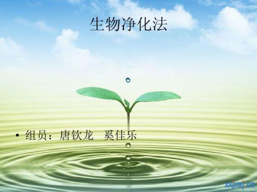 生物净化法