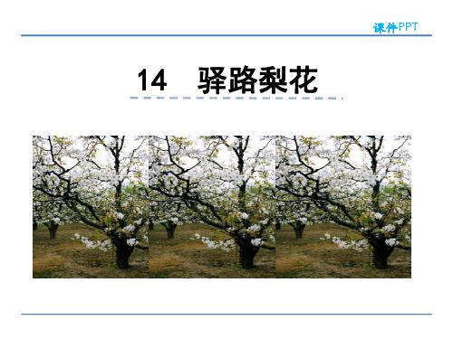 课件PPT4驿路梨花-PPT课件