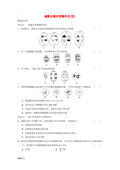 高中生物 2.1 减数分裂和受精作用(Ⅲ)专题练习 新人教版高一必修2生物试题