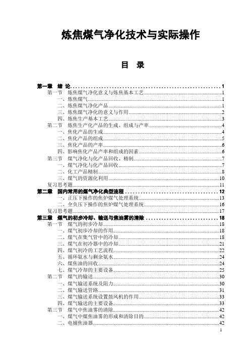 炼焦煤气净化技术与实际操作