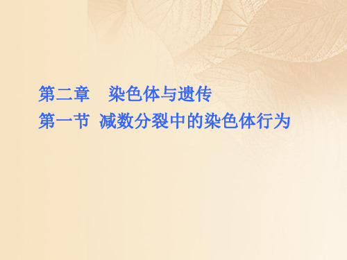 2019高中生物第二章染色体与遗传2.1减数分裂中的染色体行为课件浙科版必修