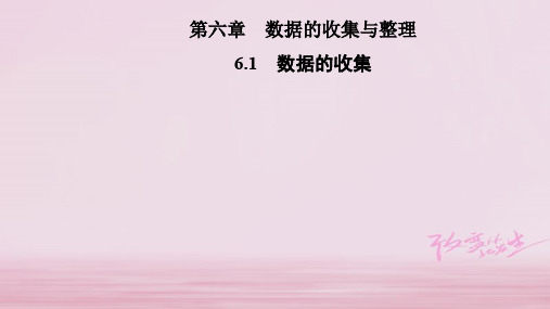 2019年秋七年级数学上册北师大版习题课件：6.1 数据的收集(共23张PPT)