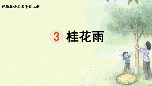 统编版五年级语文上册3《桂花雨》课件(共19张PPT)(1)