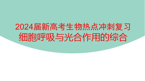 2024届新高考生物热点冲刺复习：细胞呼吸与光合作用的综合