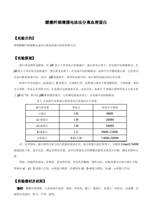 醋酸纤维薄膜电泳法分离血清蛋白