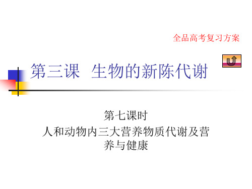 人和动物内三大营养物质代谢及营养与健康PPT教学课件