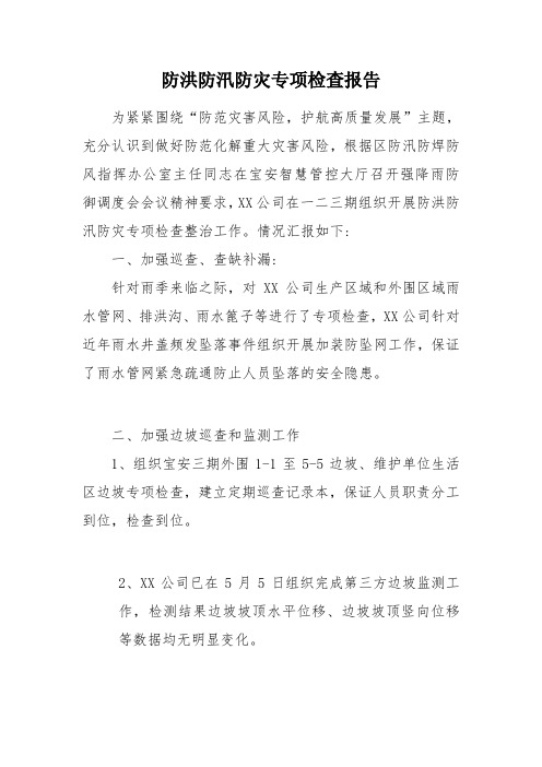 防洪防汛防灾专项检查报告