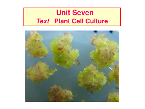 Unit Seven Plant Cell Culture