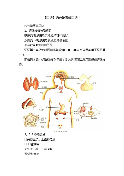 【口诀】内分泌系统口诀！