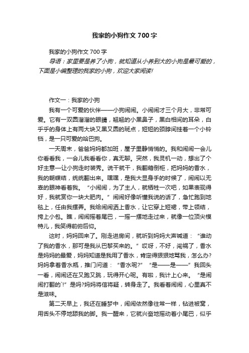 我家的小狗作文700字