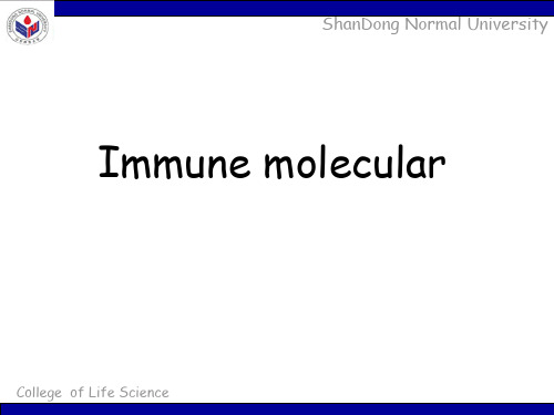 免疫分子指的是参与机体免疫应答过程的的各种相关分子