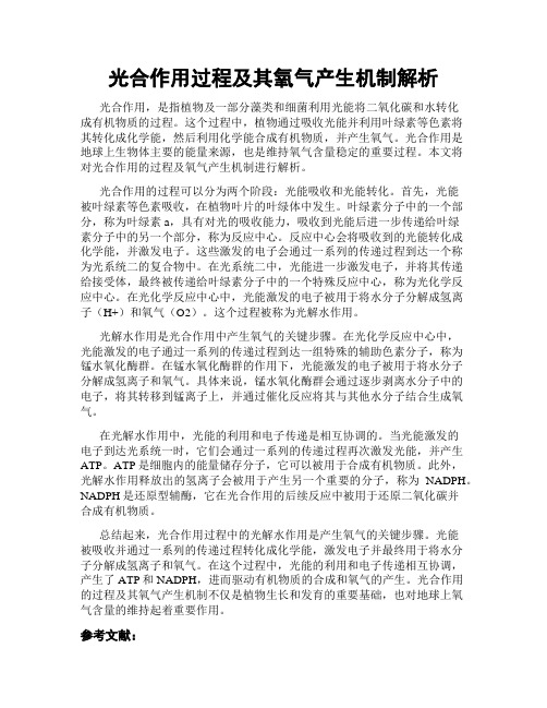 光合作用过程及其氧气产生机制解析